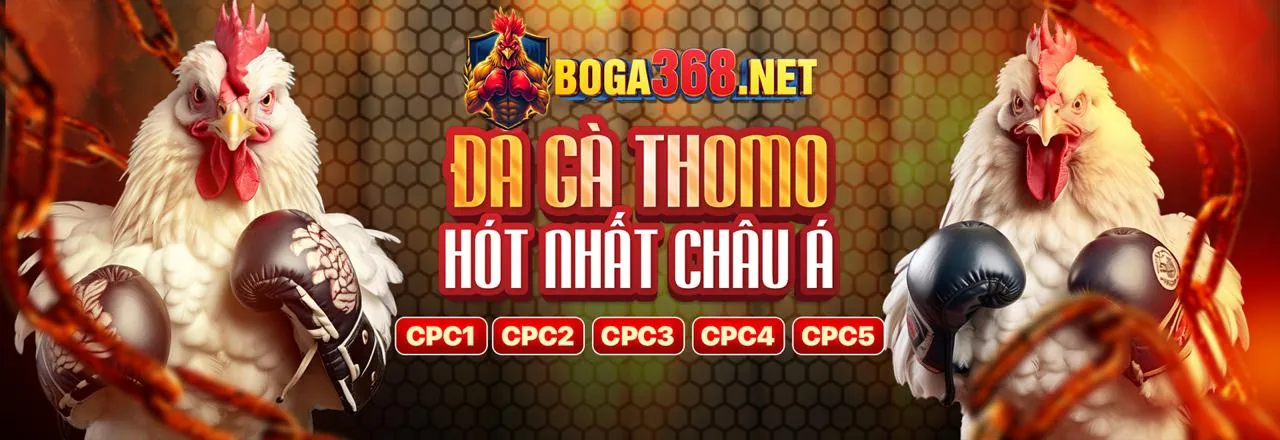 Sòng bạc trực tuyến cl88 win với các dealer chuyên nghiệp