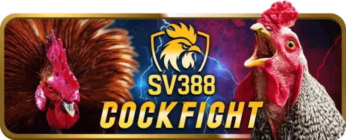 Tận Dụng Tối Đa Các Ưu Đãi CL88 WIN